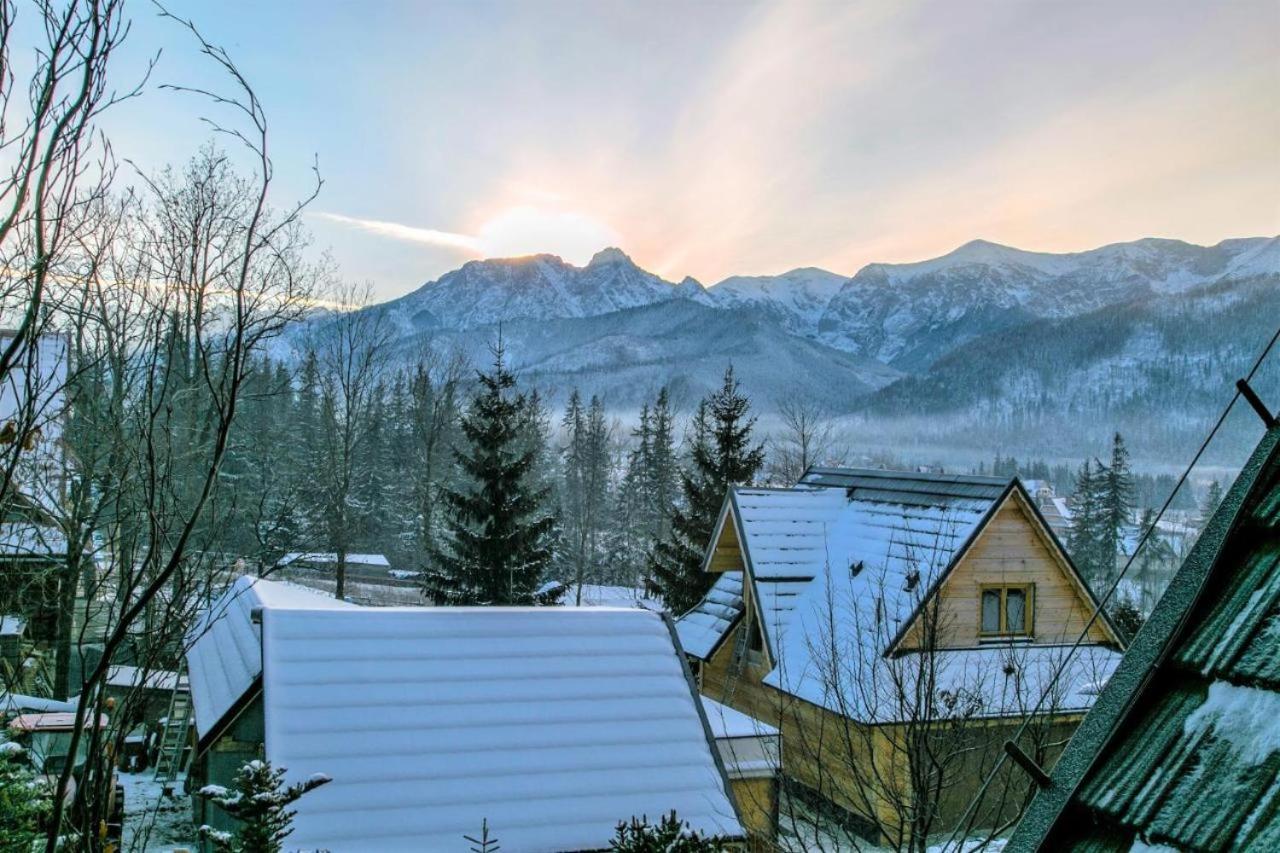 Zakohome- Apartament Snowdancer Kościelisko Esterno foto